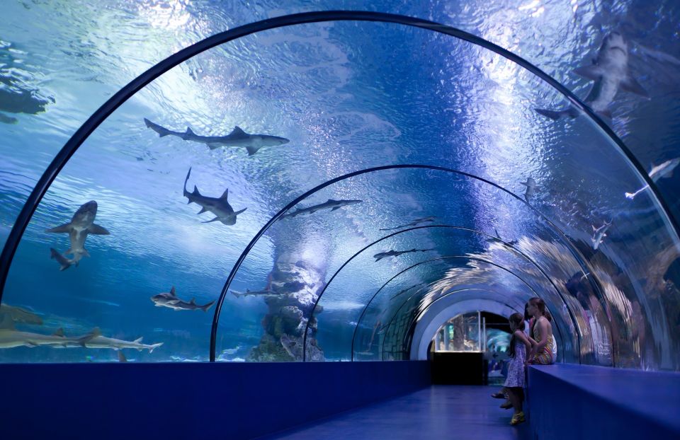 Antalya: Aquarium Entrance Ticket & Optional Transfer - Additional Experiences