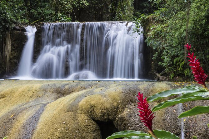 Appleton Estate Rum With YS Falls and Black River Private Tour - Rum Tastings at Appleton Estate