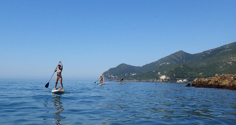 Arrábida Natural Park: Stand Up Paddleboard Tour and Lesson - Experience Highlights Explained