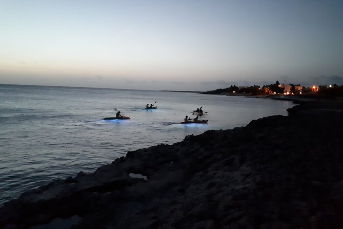 Aruba Night Glass Kayak Tour - Booking Requirements