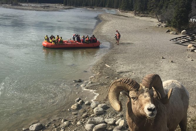 Athabasca River Easy Scenic Raft Trip - Necessary Gear for Convenience