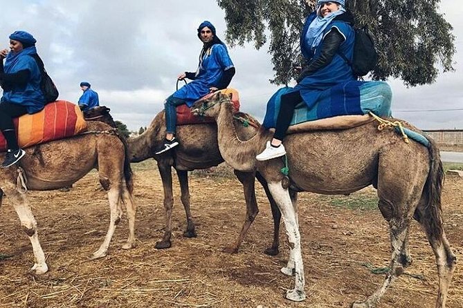 Atlas Mountain & Berber Villages and Waterfalls Day Trip From Marrakech - Additional Information