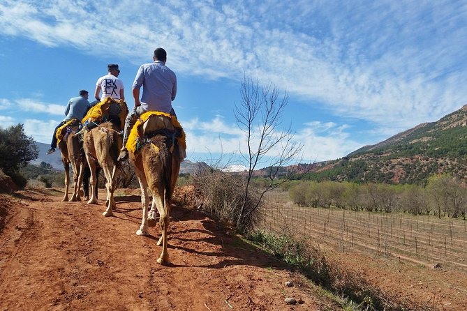 Atlas Mountains Day Trips and Berbers Villages - Visiting Berber Villages