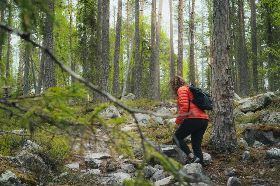 Auttiköngäs Hiking Experience - Whats Included