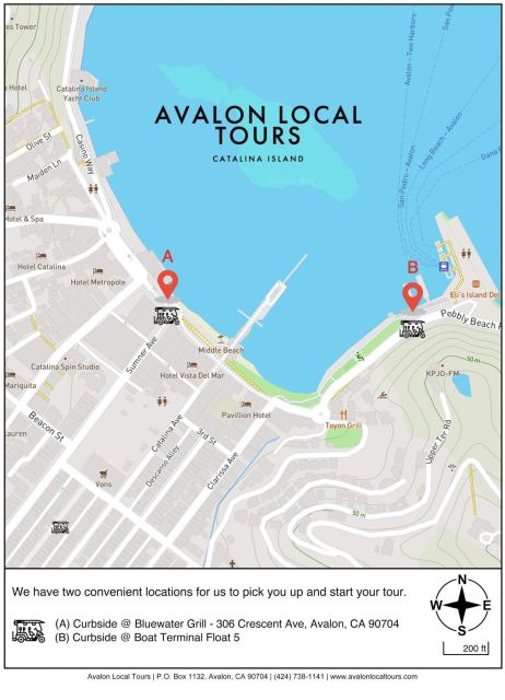 Avalon: Private Golf Cart Tour With Driver-Guide - Pickup and Dropoff Locations