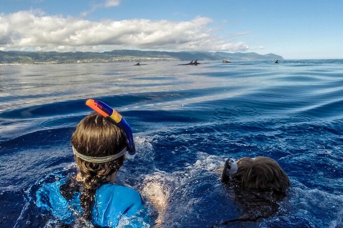 Azores Swim With Dolphins Atlantic Experience - Suitability and Accessibility