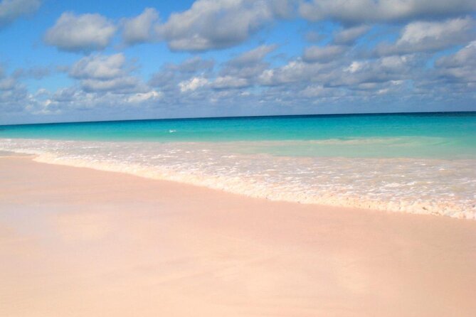 Bahamas Famous Pink Sand and Pig Experience With Snorkeling - What to Expect on the Tour