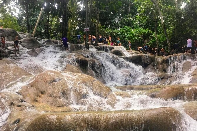 Bamboo Rafting, Dunns River Falls and Horseback Riding Private Tour - Reviews and Customer Experiences