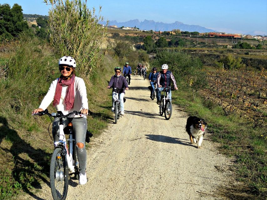 Barcelona: Guided Half-Day Wine and Electric Bike Tour - Inclusions and Amenities