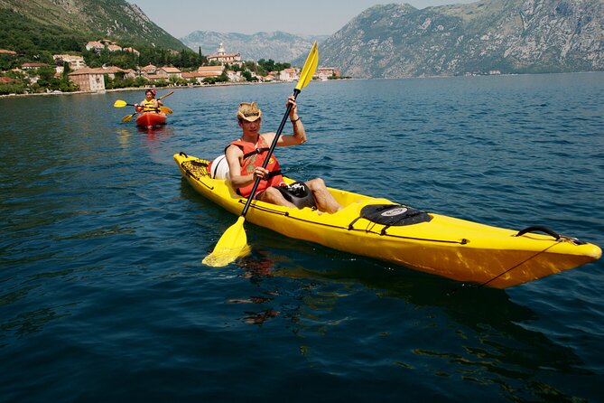 Bay of Kotor: 2.5-Hour Kayak Tour - Customer Reviews and Feedback