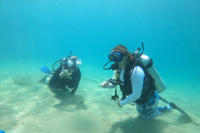 Beginner Scuba Diving Guided Tour - No Experience Required - Booking and Cancellation