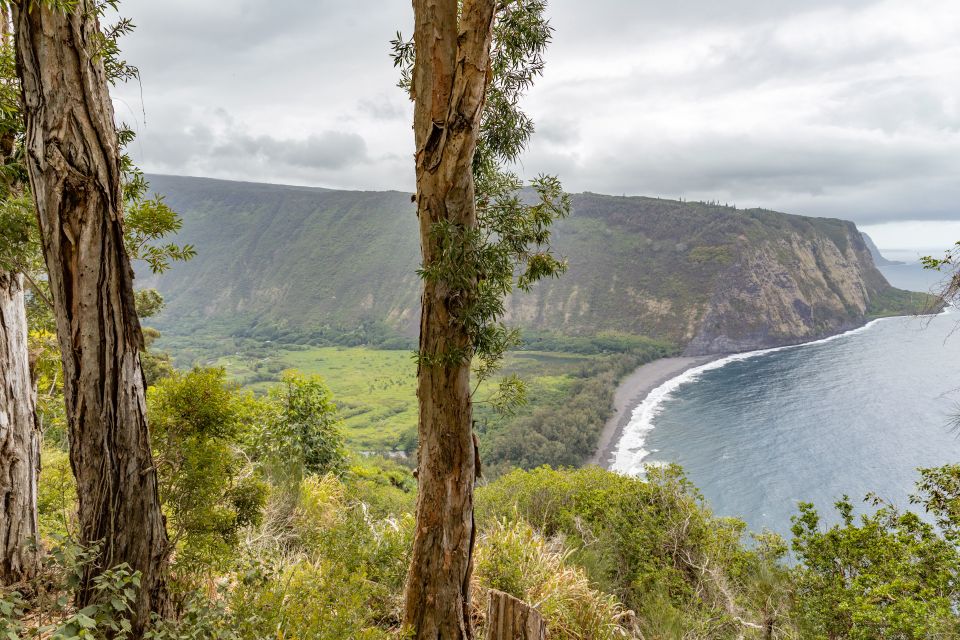 Big Island: Private Island Circle Tour With Lunch and Dinner - Hawaii Volcanoes National Park