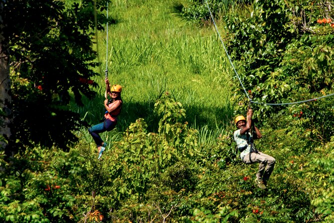 Big Island Zipline Adventure - Customer Feedback