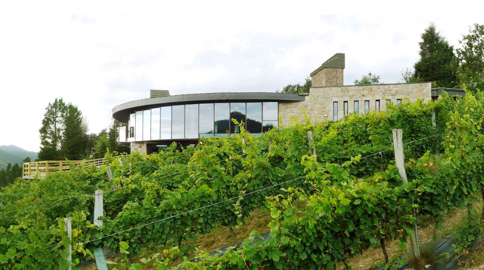 Bilbao: Organic Winery Visit With Tasting - Inclusions