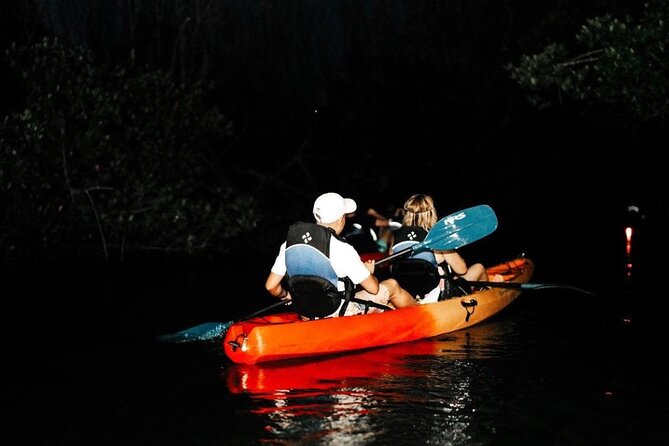 Bio Bay Kayak Tour in Fajardo - Scenic Coastal Views