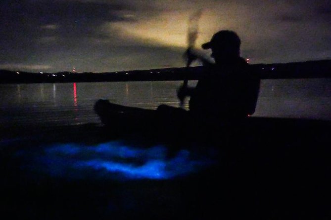 Bioluminescence Night Kayaking Tour of Merritt Island Wildlife Refuge - Professional Guide Expertise