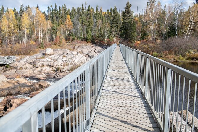 BLACK BEAR VIEWING AND WALKING AT OUTDOOR CTRS CANYON - Saguenay Guided Tours - Confirmation and Accessibility