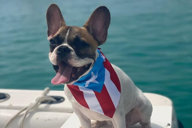 Boat Trip in Palomino, Icacos, and Fajardo, Puerto Rico - Meeting Point and Transportation Arrangements