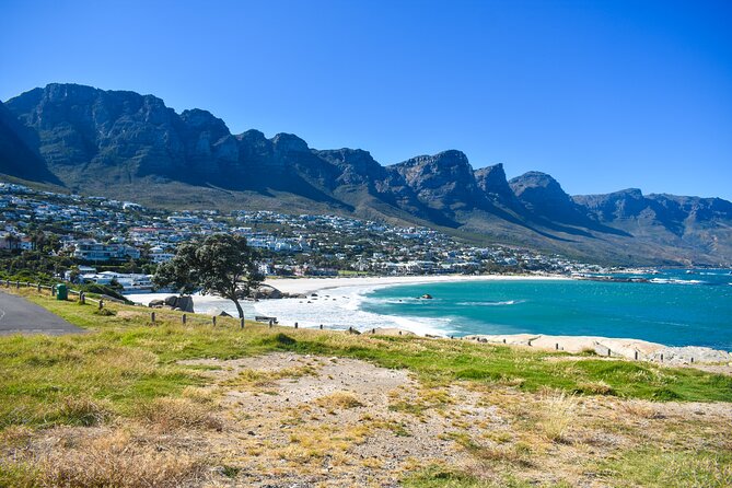 Boulders Beach Penguins Half Day Tour - Tour Details