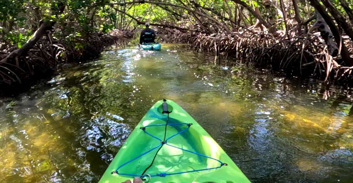 Bradenton: Guided Pedal Kayak Tour - Experience Details