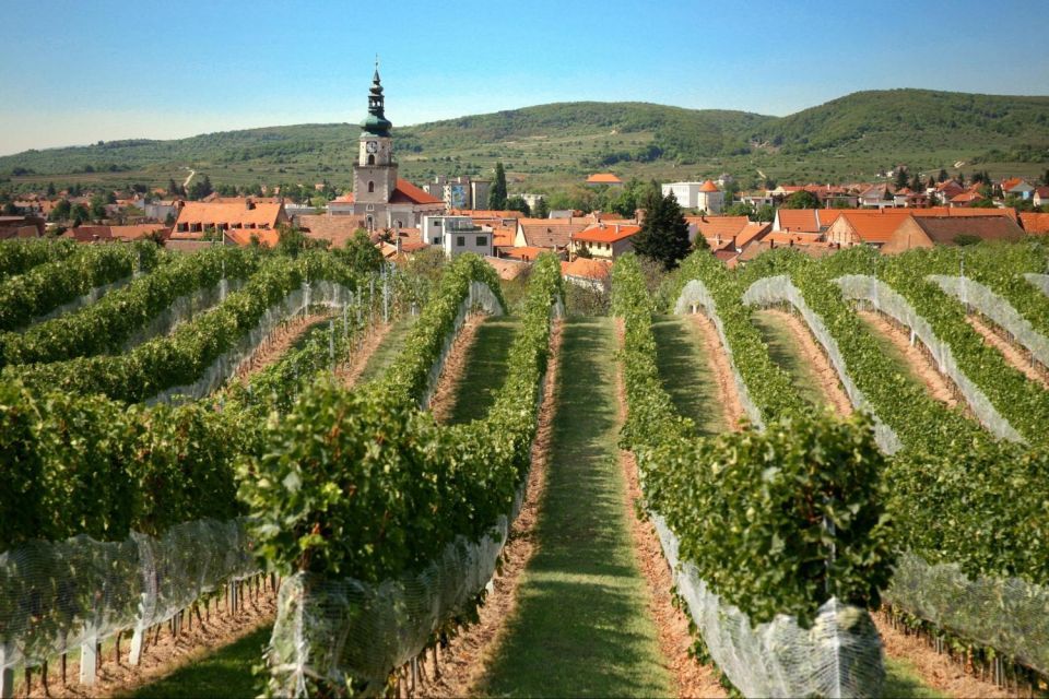 Bratislava: 6-Hour Carpathian Wine Tour and Tasting - Itinerary Details