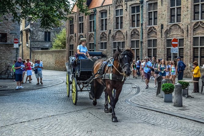 Bruges Private Sightseeing Trip From Amsterdam - Recommended Considerations