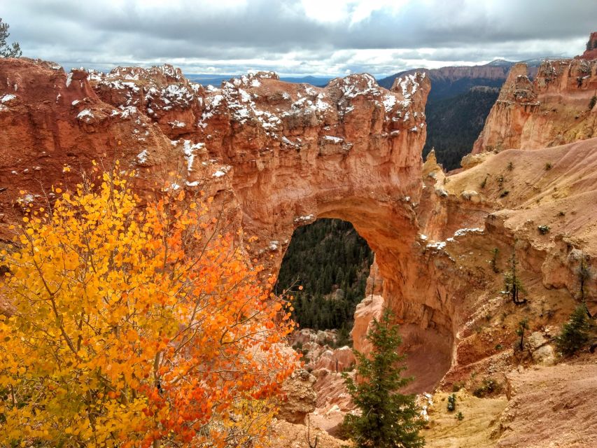 Bryce: Guided Sightseeing Tour of Bryce Canyon National Park - Itinerary and Key Sites