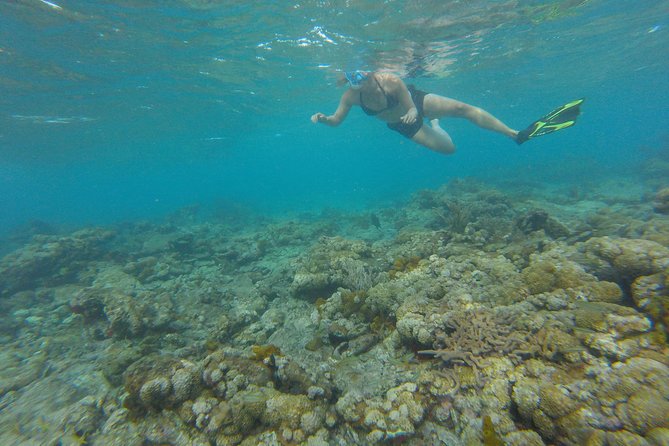 Buccoo Reef and Nylon Pool Adventure - Inclusions and Amenities