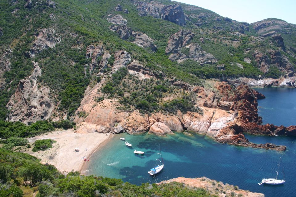 Calvi to Scandola: 4-Hour Boat Tour - Exploring Scandola