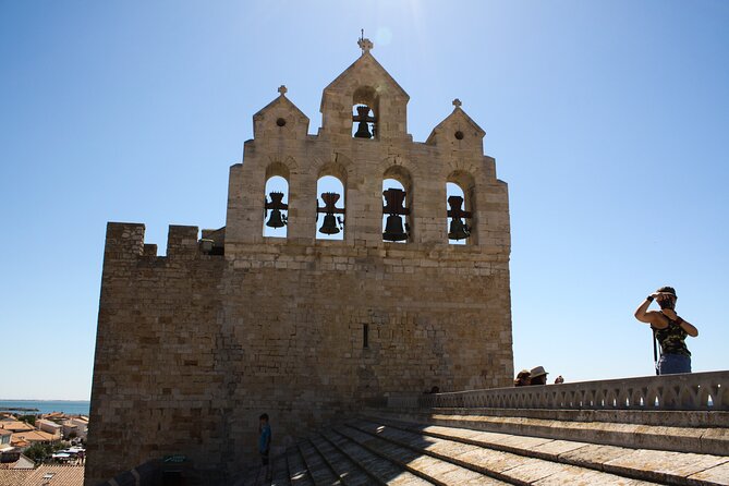 Camargue Small-Group Day Trip From Avignon - Discovering Aigues-Mortes