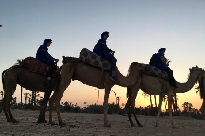 Camel Ride in Marrakech Desert Palmgrove - Booking Information