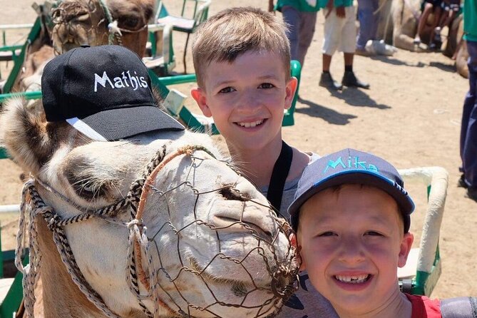 Camel Safari Through the Dunes of Maspalomas - Booking Confirmation and Cancellation Policy