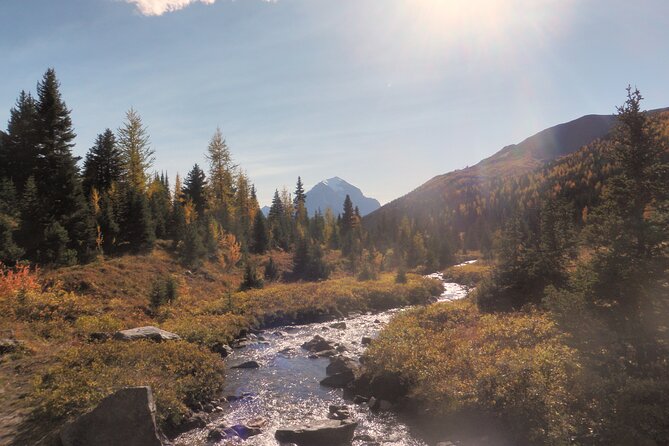 Canadian Rockies Hiking Adventure in Kananaskis Provincial Park - Scenic Vistas and Landscapes