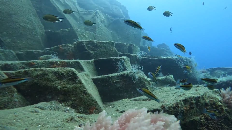 Caniço: Garajau Nature Reserve Guided Snorkeling Tour - Equipment and Safety