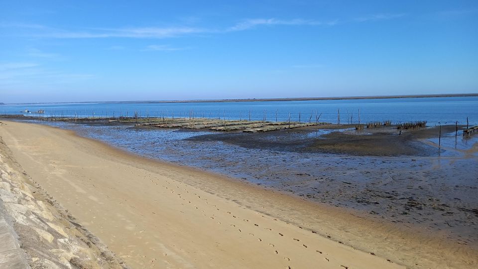 Cap-Ferret With Oysters Tasting - Lighthouse and Museum