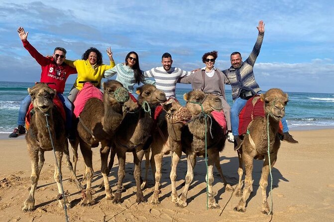 Cap Startel and Camel Ride in Achakkar Beach at Sunset With BBQ - Pickup and Start Time