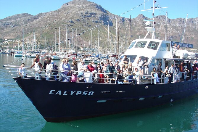 Cape of Good Hope & Penguins From Cape Town Full-Day Private Tour - Booking Information