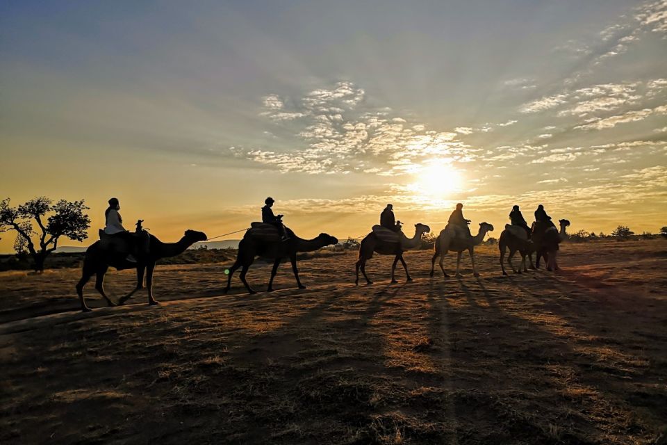 Cappadocia: Camel Safari - Scenic Views of Cappadocia