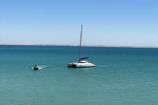 Catamaran Trip in the Big Bay of Dakhla - Accessibility and Group Size