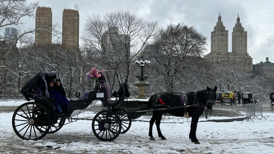 Central Park Horses Carriage Rides - Inclusions and Amenities