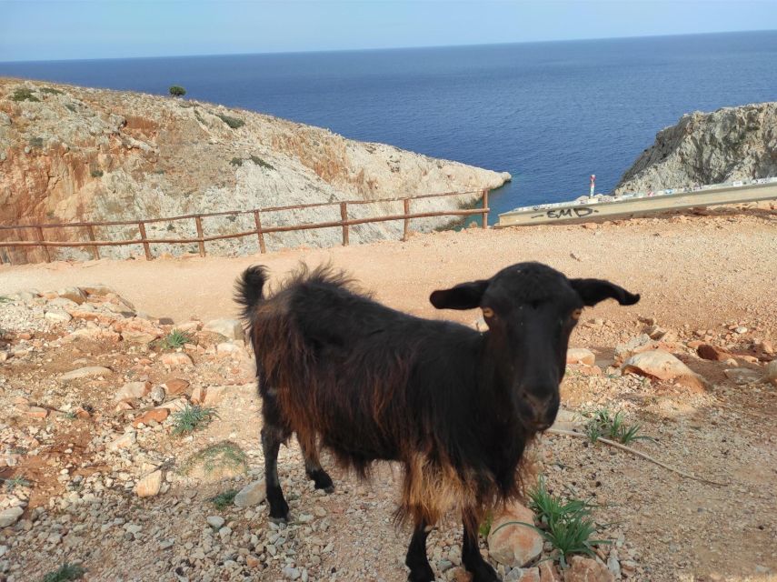 Chania Pink Sand Beaches Private Tour: Elafonisi & Falasarna - Inclusions and Guide