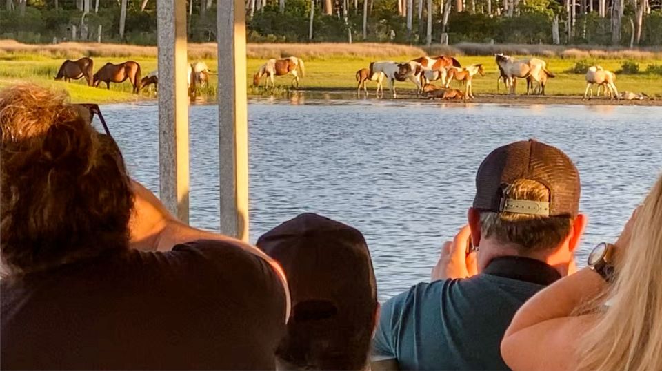 Chincoteague: Assateague Island Sunset Boat Cruise - Vessel and Accessibility