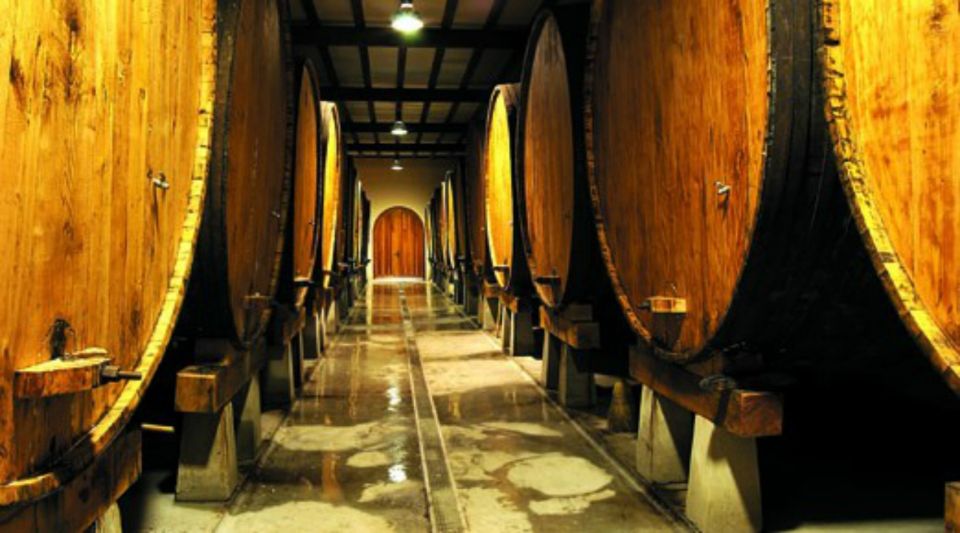 Cider House Experience From San Sebastián - Inclusions