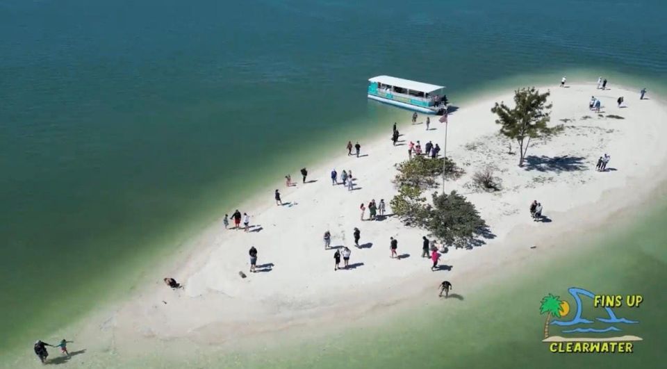 Clearwater Beach: Dolphin and Island Sandbar Boat Tour - Inclusions and Amenities