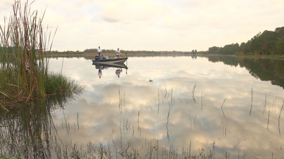 Clermont: Trophy Bass Fishing Experience With Expert Guide - Catching a Trophy Bass