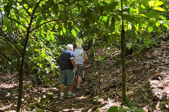 Cocoa & Artisan Chocolate Route With an Historical Tour in Puerto Plata City - Traveler Feedback