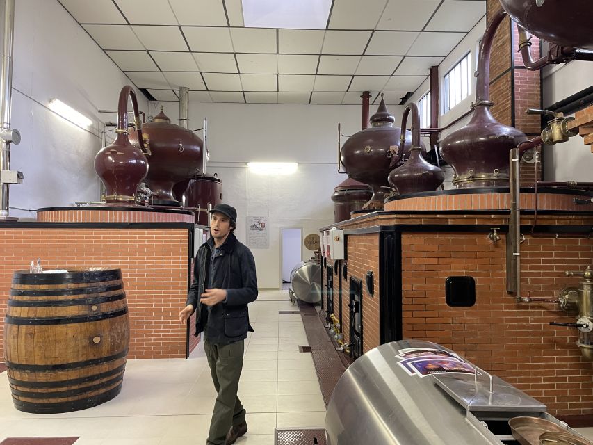 Cognac: Wine Safari & Royal Castle - Local Gastronomy Experience