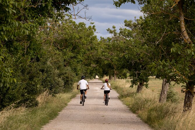 Cortona - Ebike Tour and Wine Tasting in the Val Di Chiana [+40€] - Pricing and Cancellation Policy