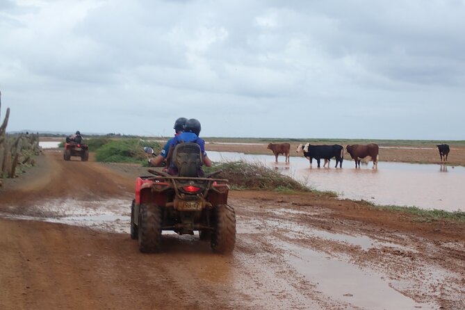 Curacao Half Day ATV East Adventure Tour - Pricing and Availability