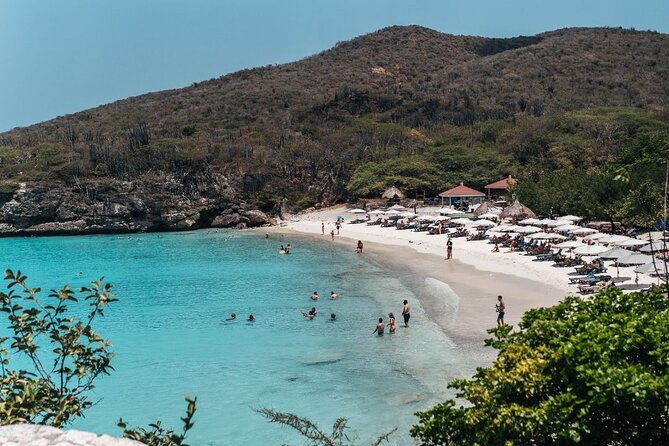 Curaçao Island Tour - Spotting Flamingos at Jan Kok